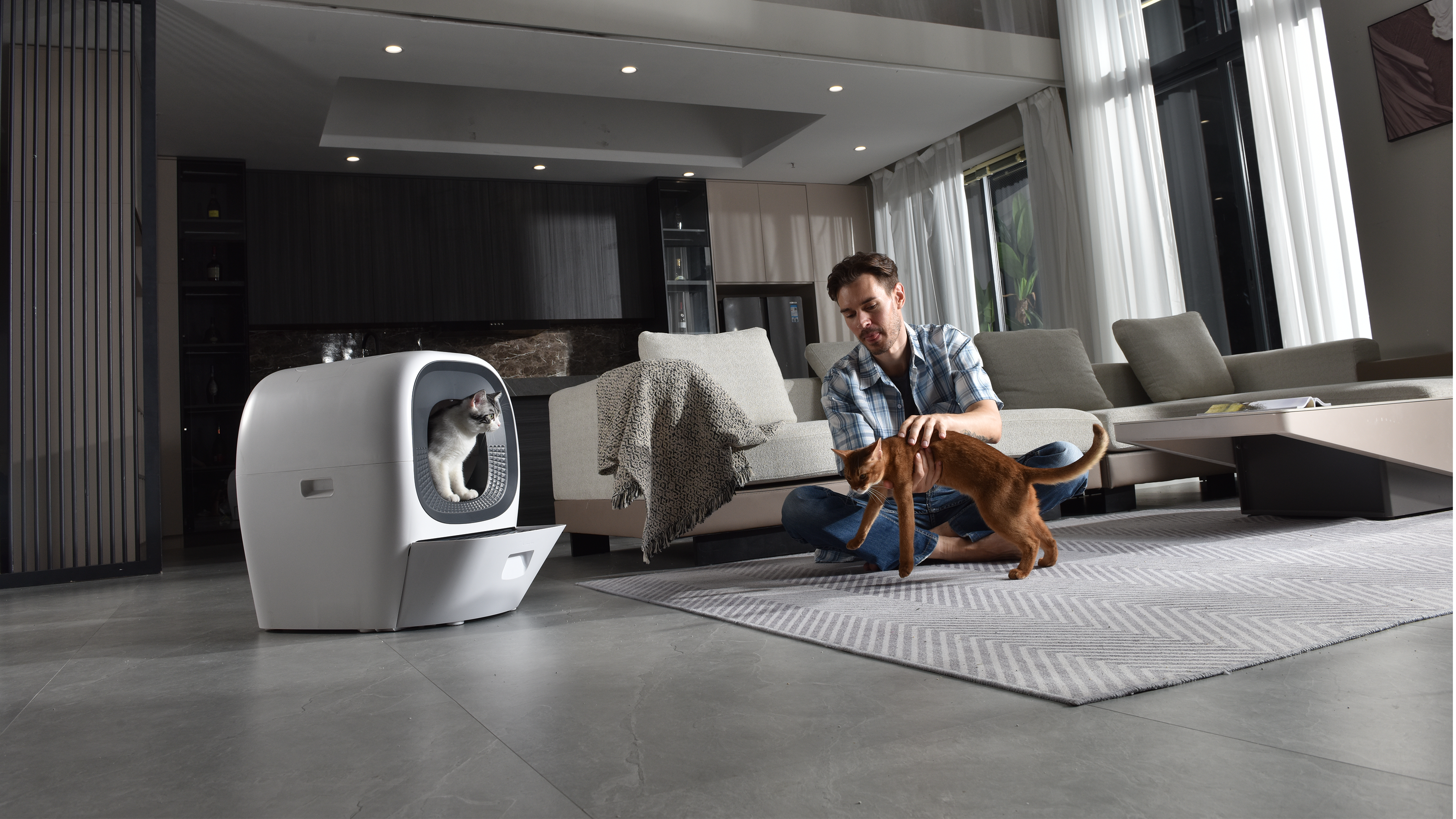 Plus qu’une litière, une nouvelle vie avec votre chat