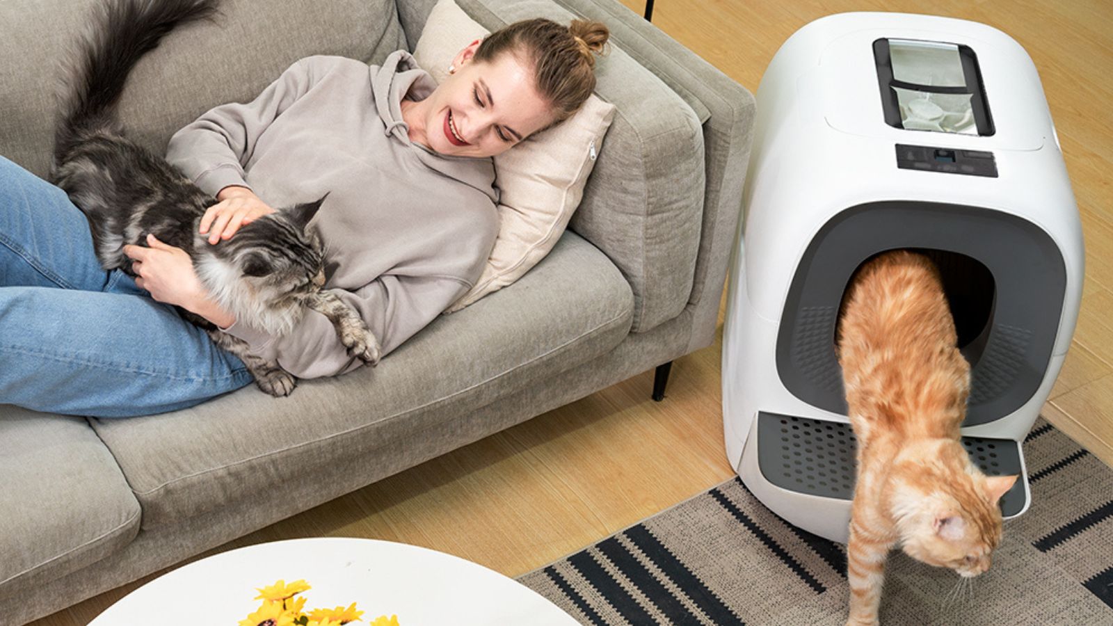 Comment habituer mon chat à la litière automatique