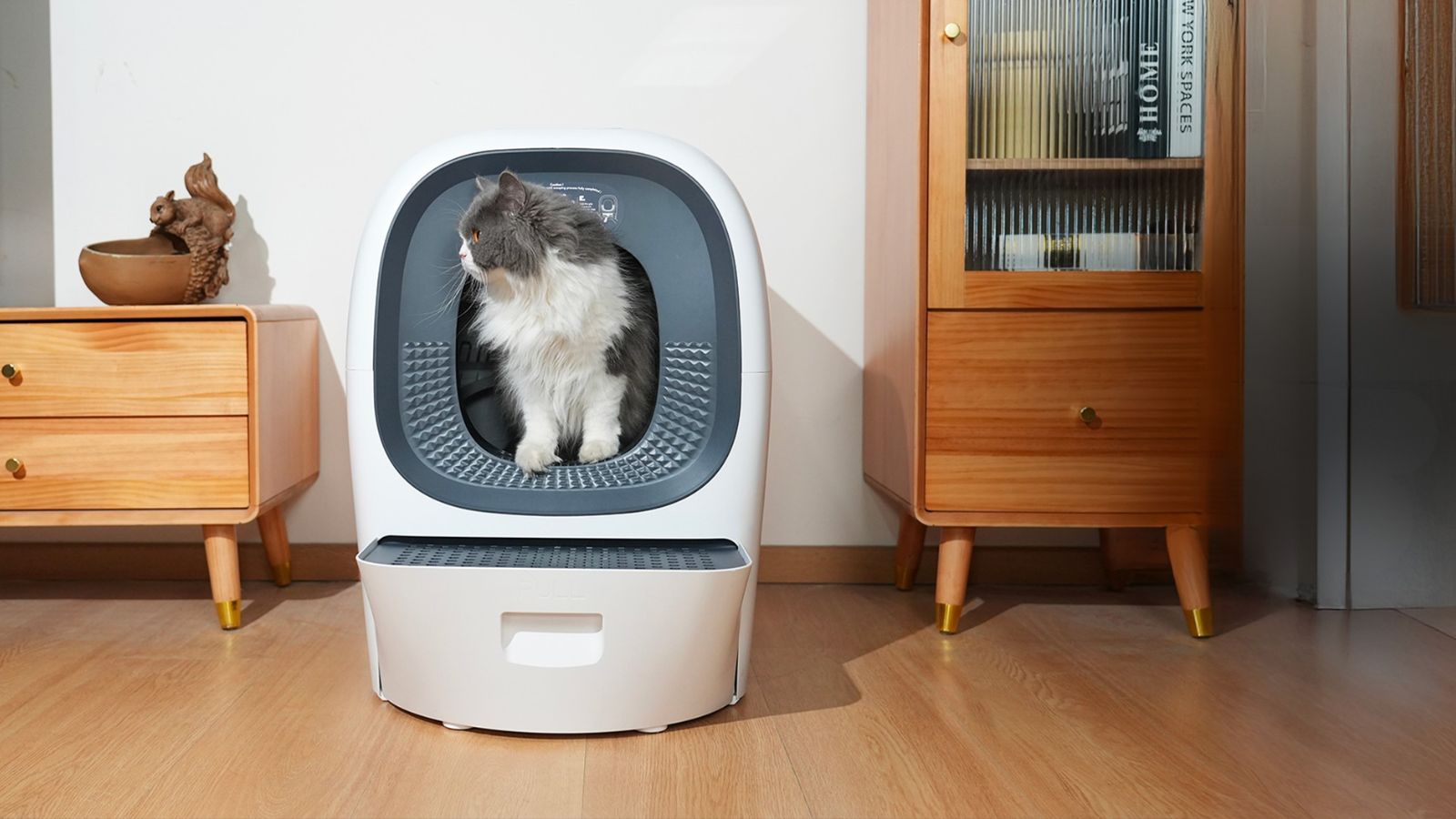 Quelle est la meilleure litière automatique pour chat en 2026 ? Comparatif, tests et guide d'achat