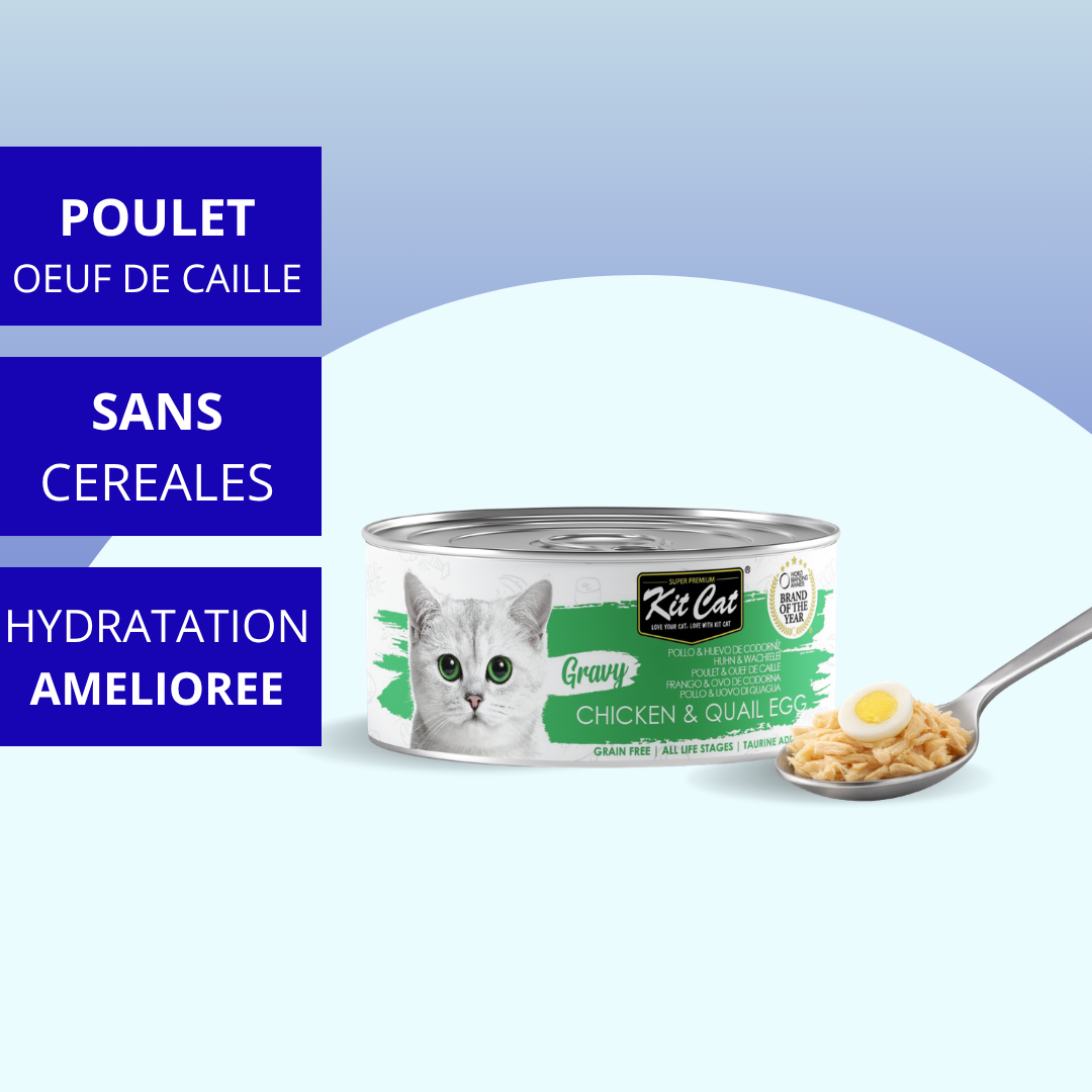 Kit Cat Gravy - Poulet & Œuf de Caille 70g