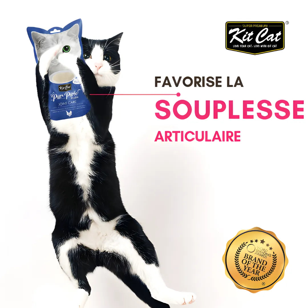 Kit Cat PurrPureePLUS - Poulet (Soin des articulations) 60g