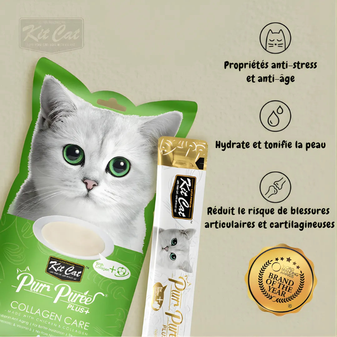 Kit Cat PurrPureePLUS - Poulet (Soin du collagène) 60g