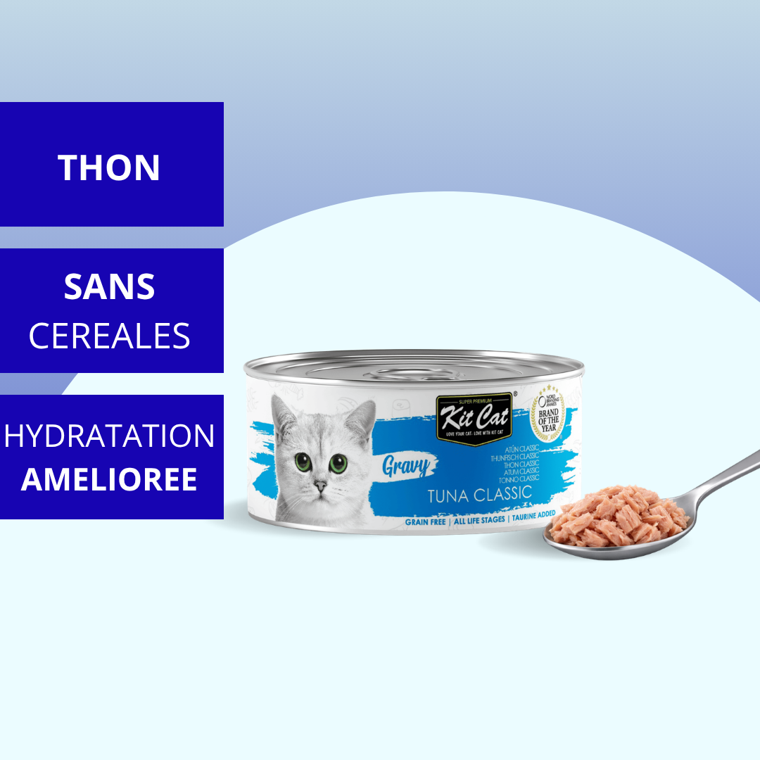 Kit Cat Gravy - Thon Classique 70g