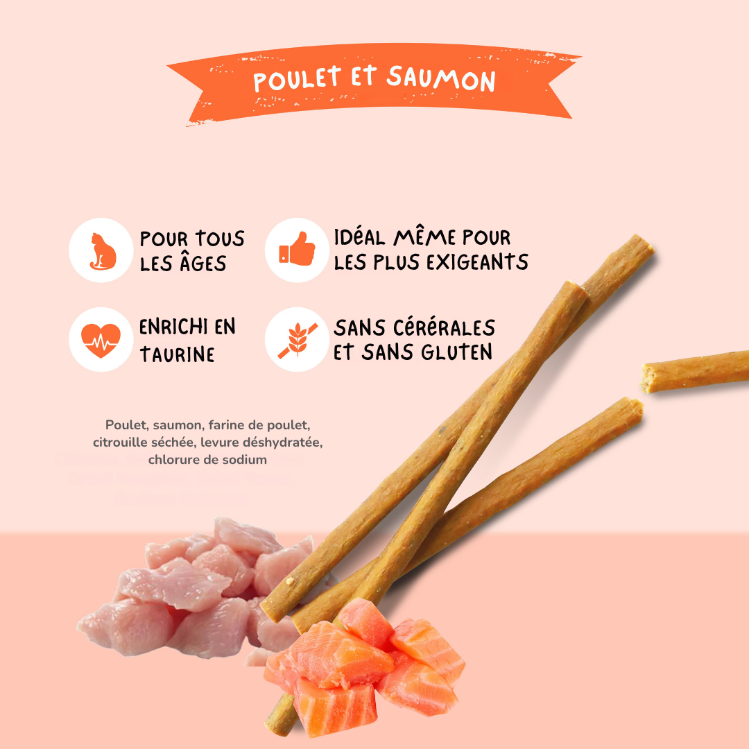 Kit Cat Cat Stick - Poulet & Saumon 15g