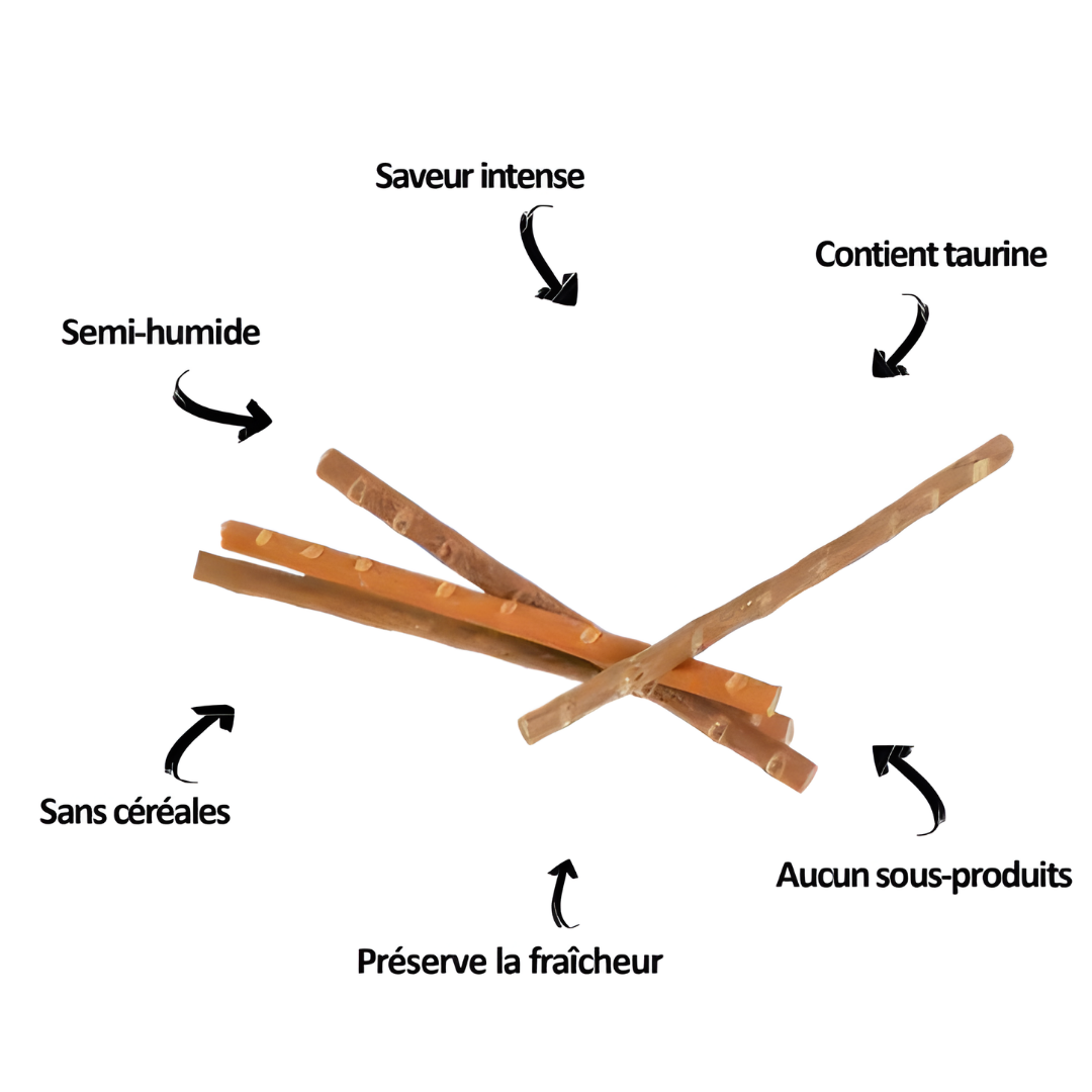 Kit Cat Cat Stick - Poulet & Saumon 15g