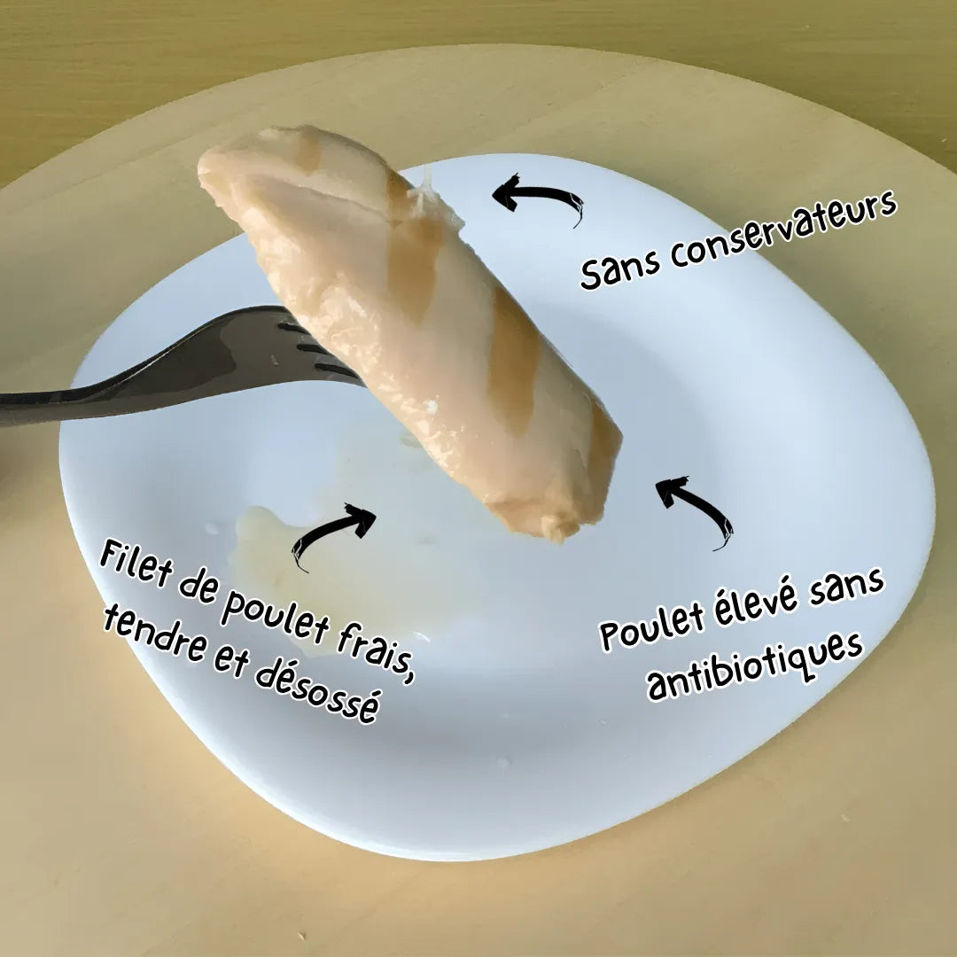 Kit Cat Filet Frais - Pollo à la Parrilla 30g