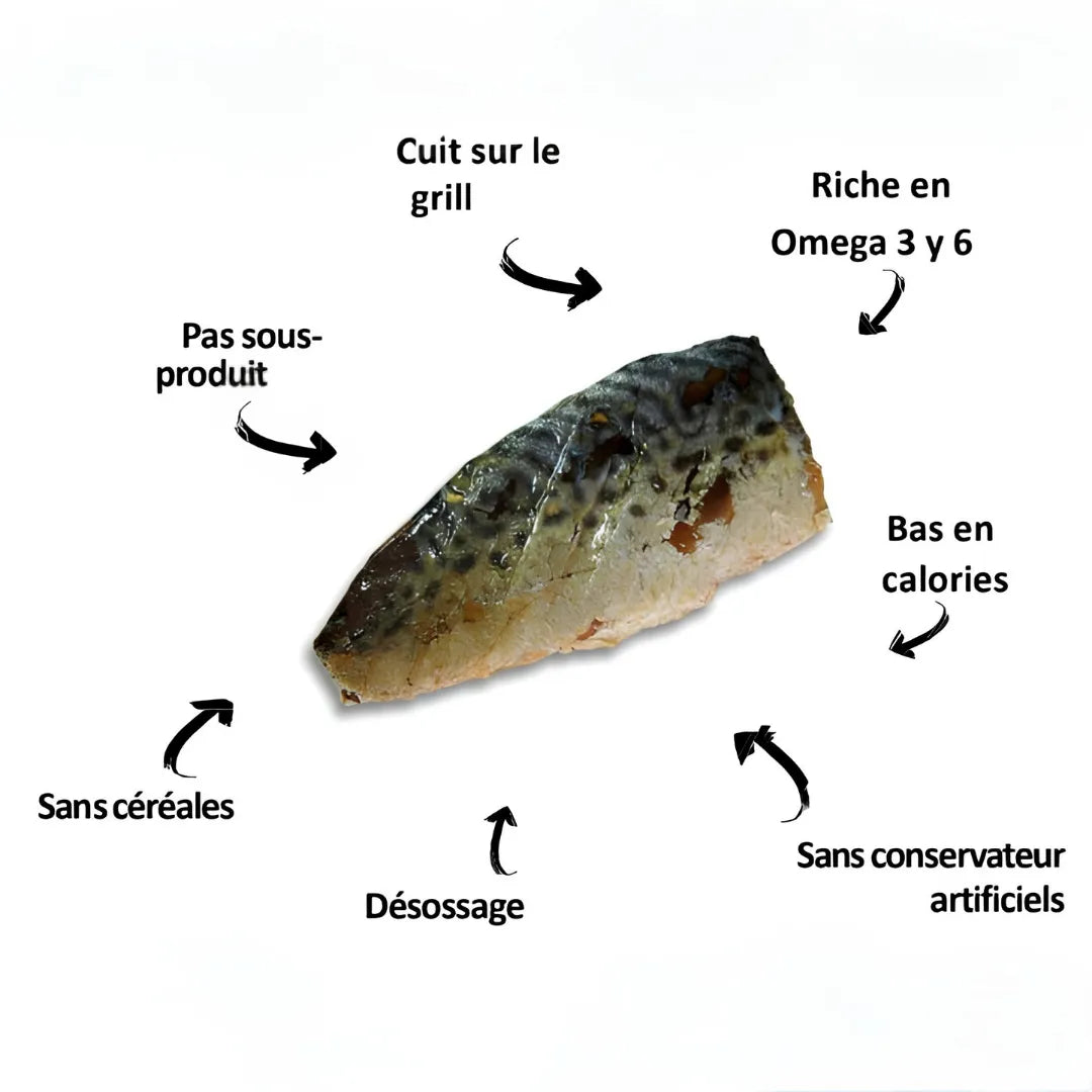 Kit Cat Fresh Fillet - Grilled Mackerel 30g
