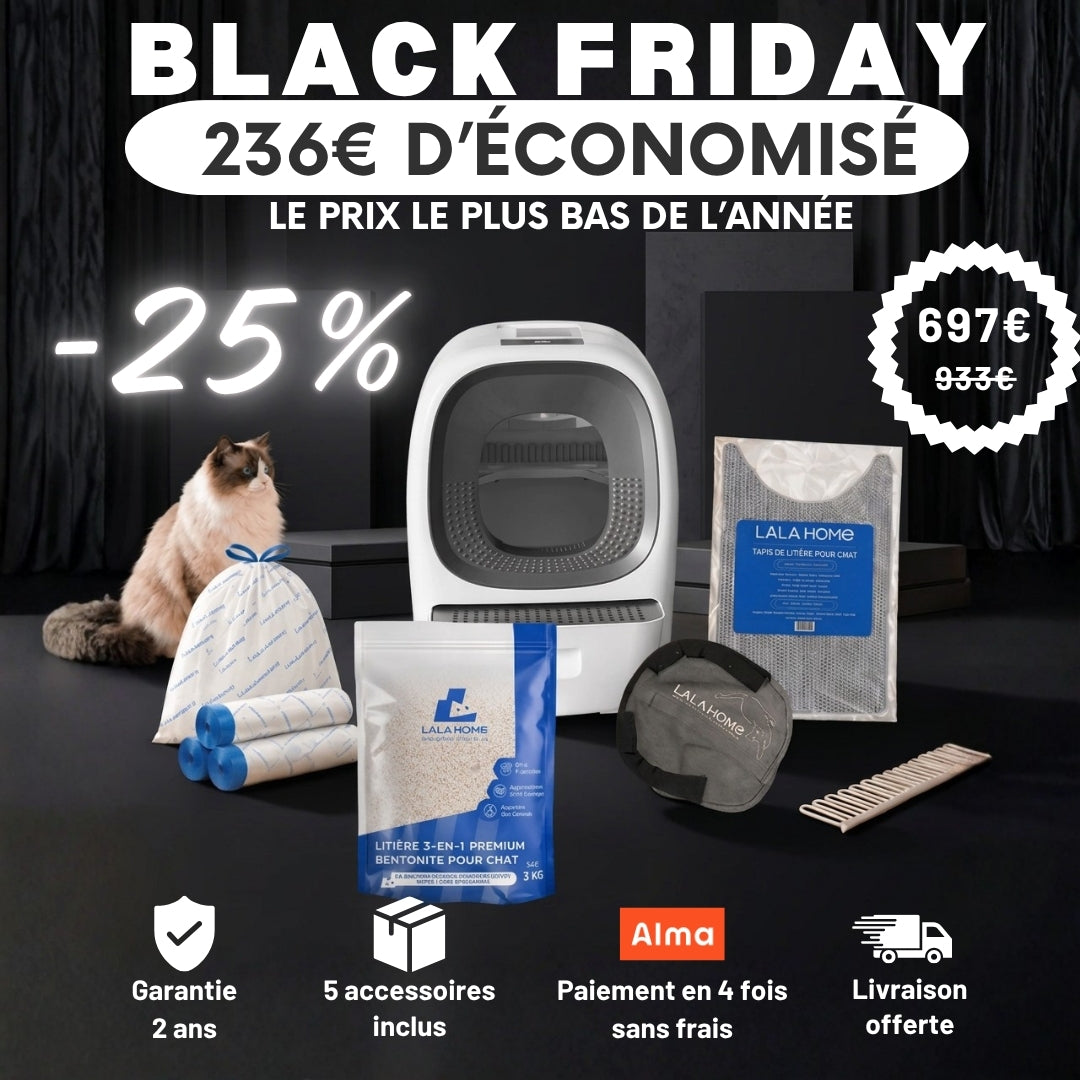 Pack BLACK FRIDAY