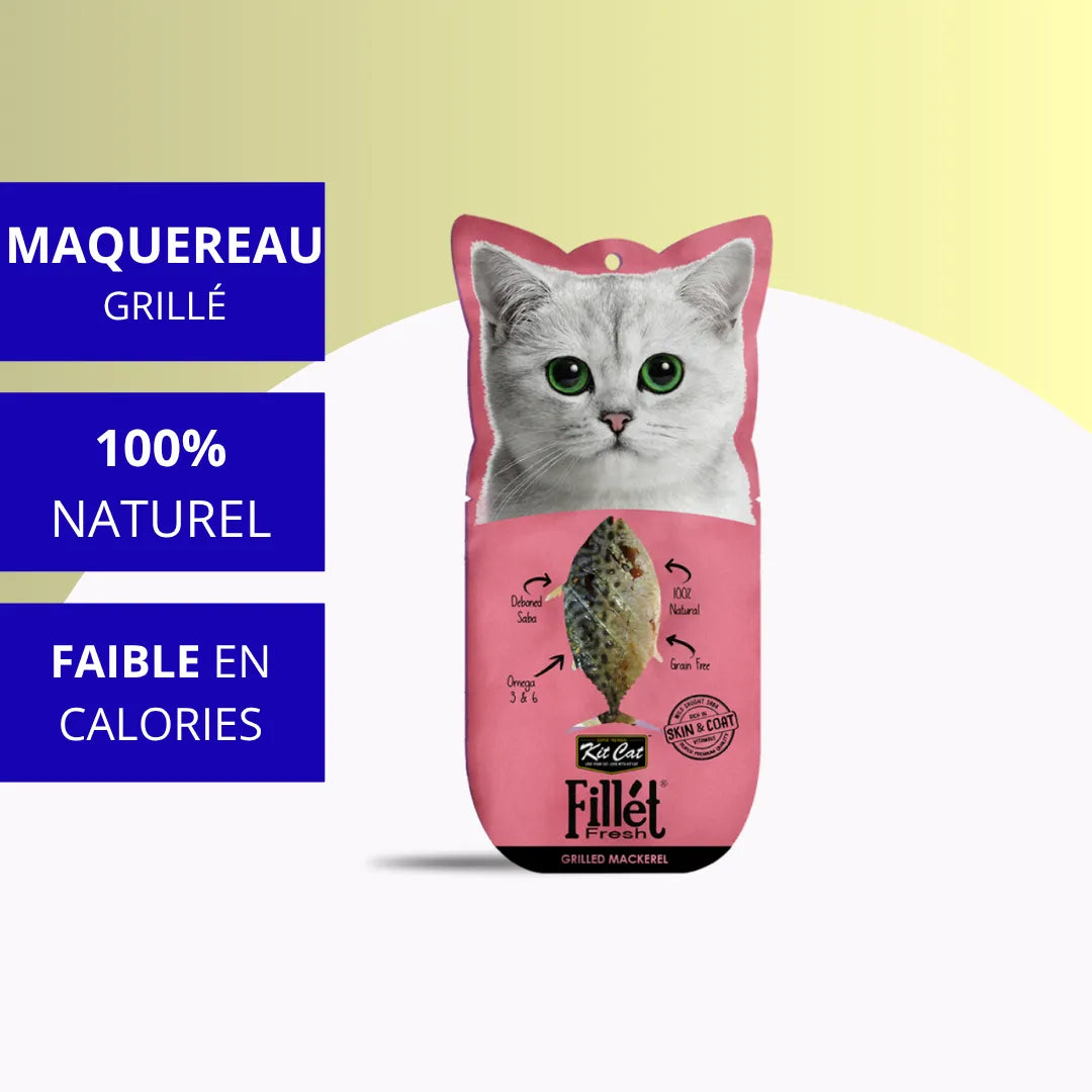 Kit Cat Filet Frais - Maquereau Grillé 30g
