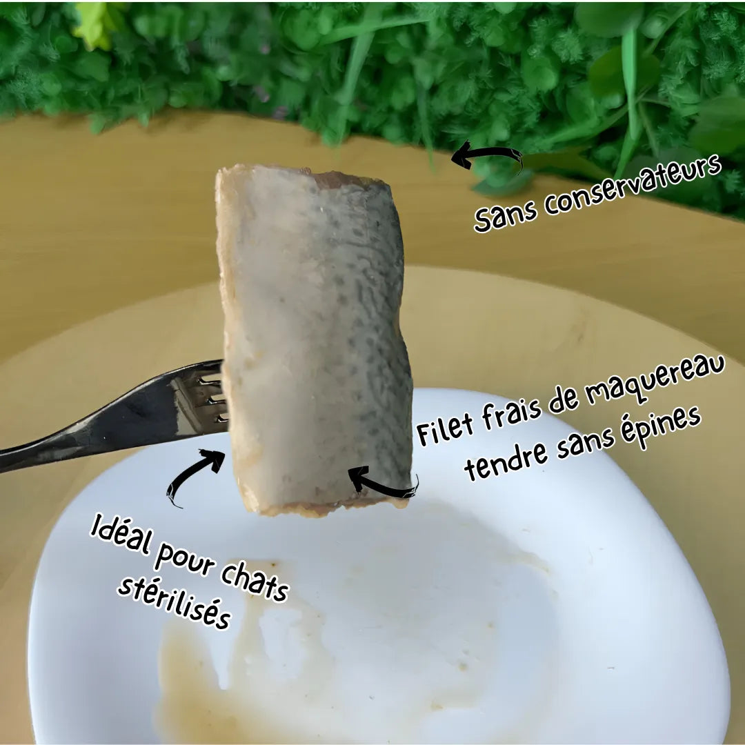 Kit Cat Fresh Fillet - Grilled Mackerel 30g