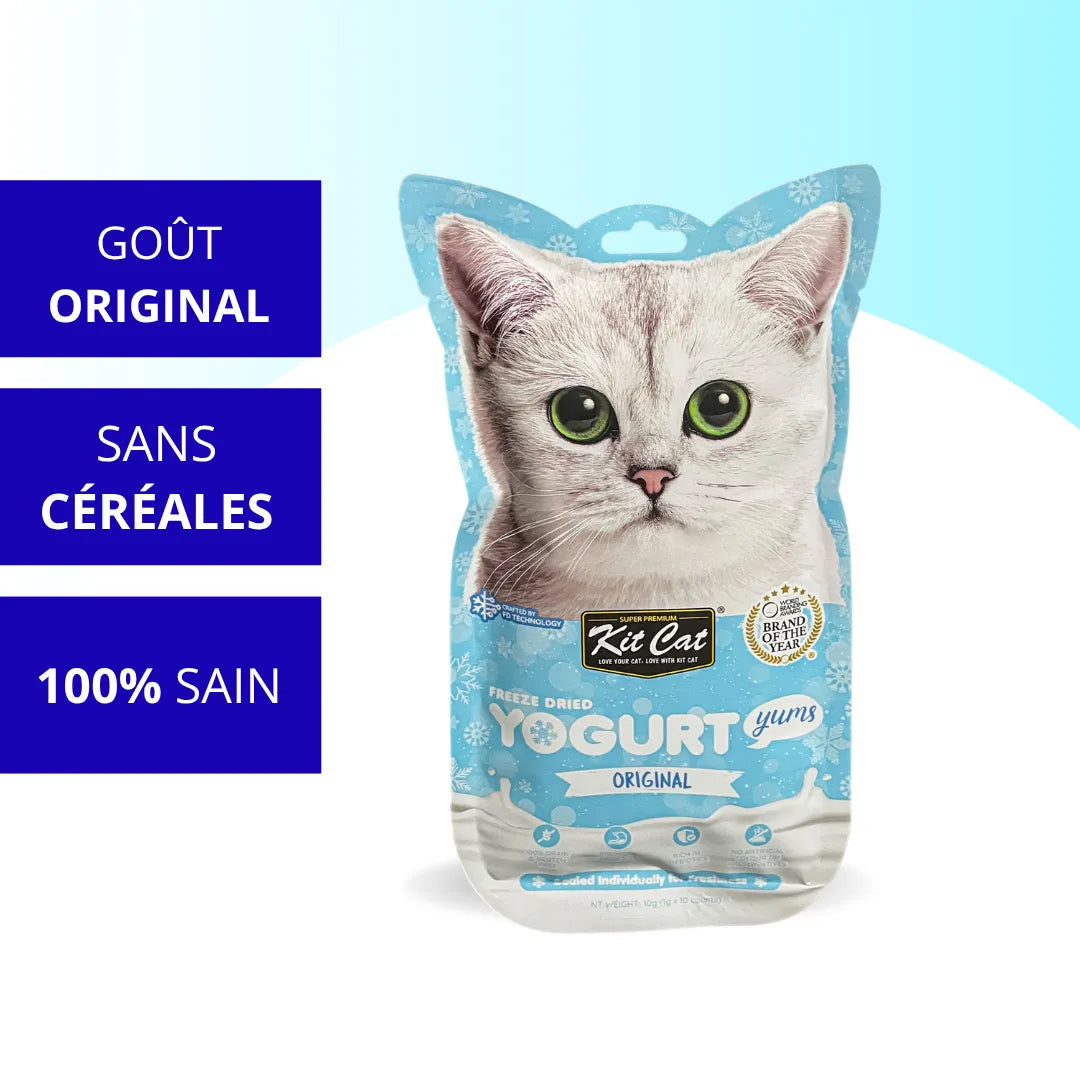 Kit Cat YogurtYums - Original