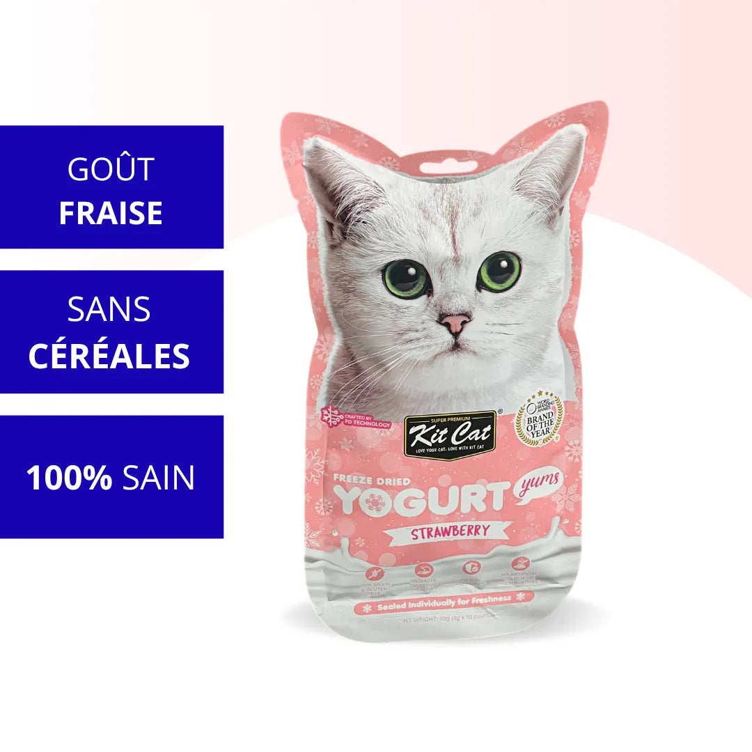 Kit Cat YogurtYums - Fraise