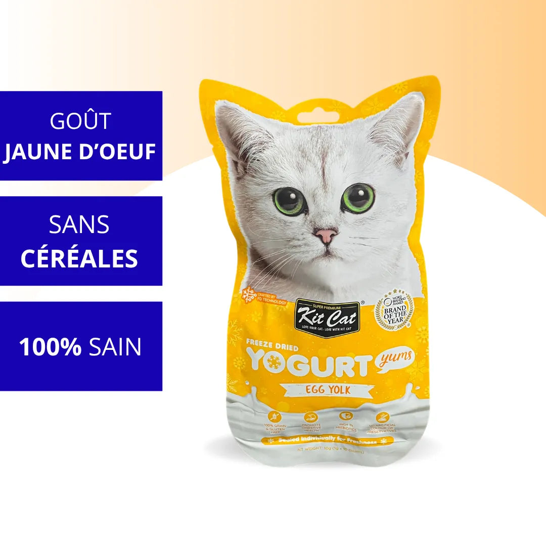 Kit Cat YogurtYums - Jaune d'oeuf