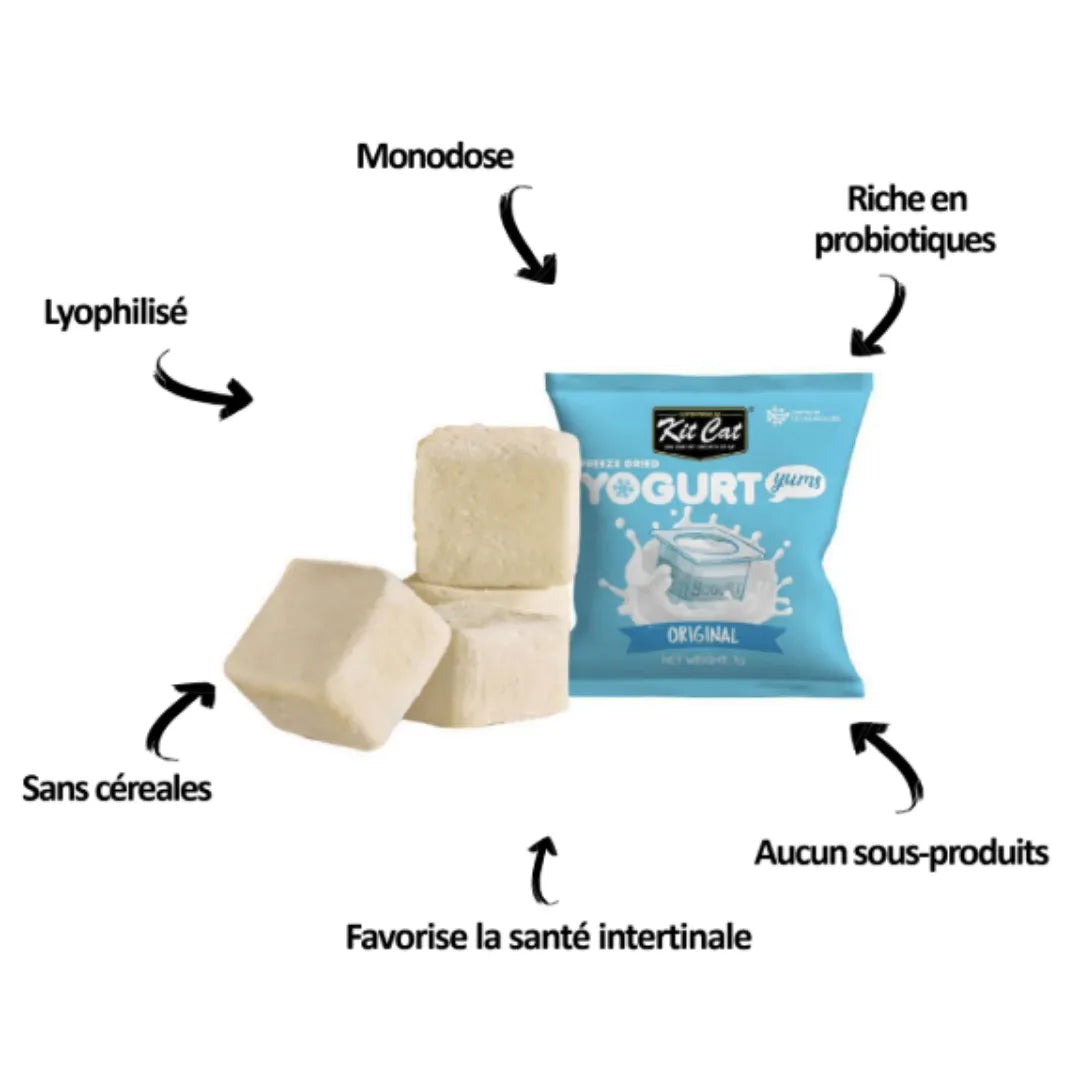 Kit Cat YogurtYums - Fromage