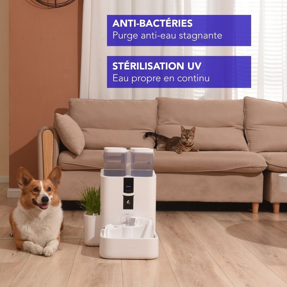 Fontaine intelligente pour chat et chien