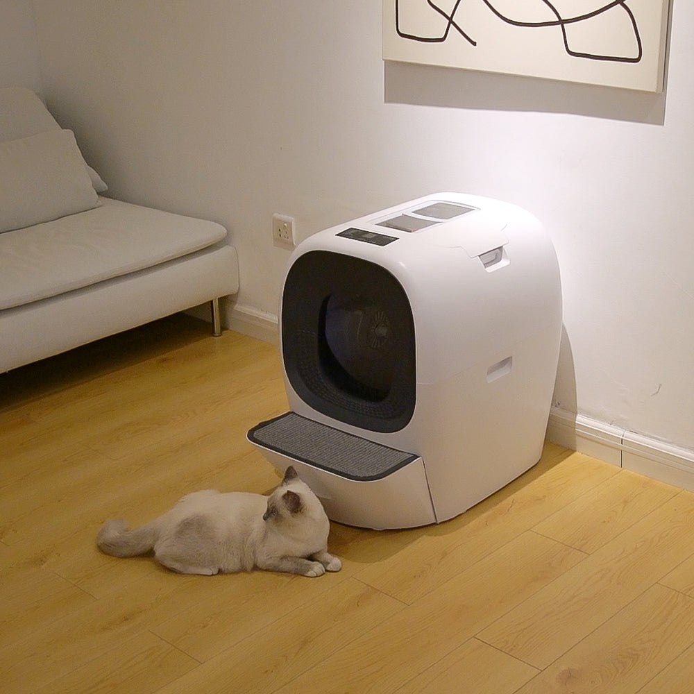 La première litière intelligente auto-rechargeable – Lalahome