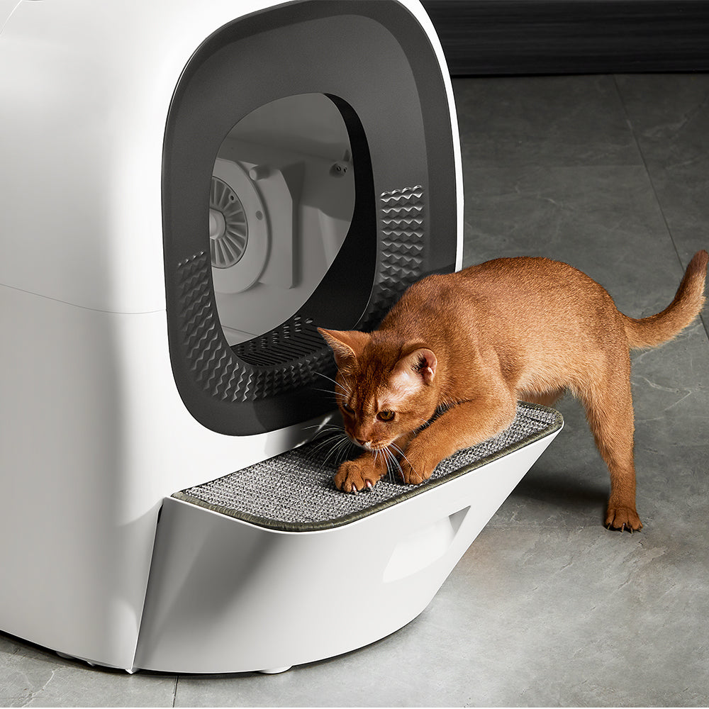 La première litière intelligente auto-rechargeable – Lalahome