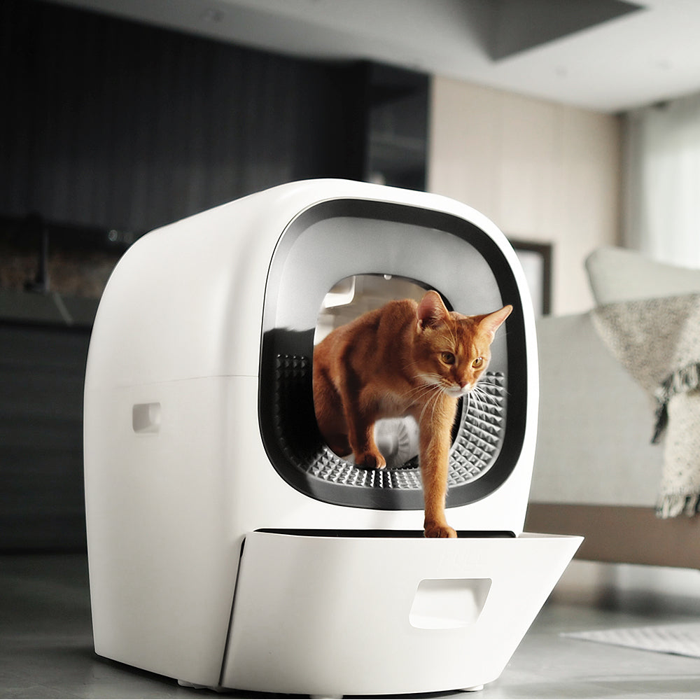La première litière intelligente auto-rechargeable – Lalahome