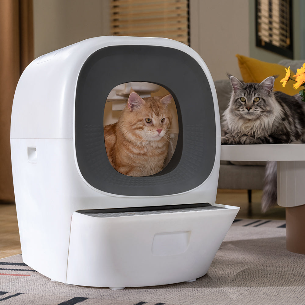 La première litière intelligente auto-rechargeable – Lalahome