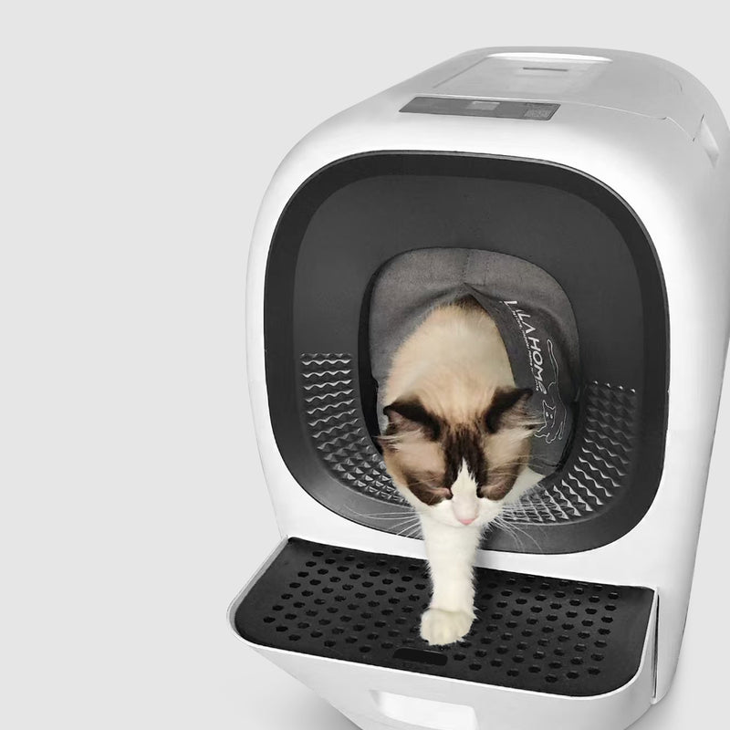 Rideau de porte anti-poussière LALAHOME