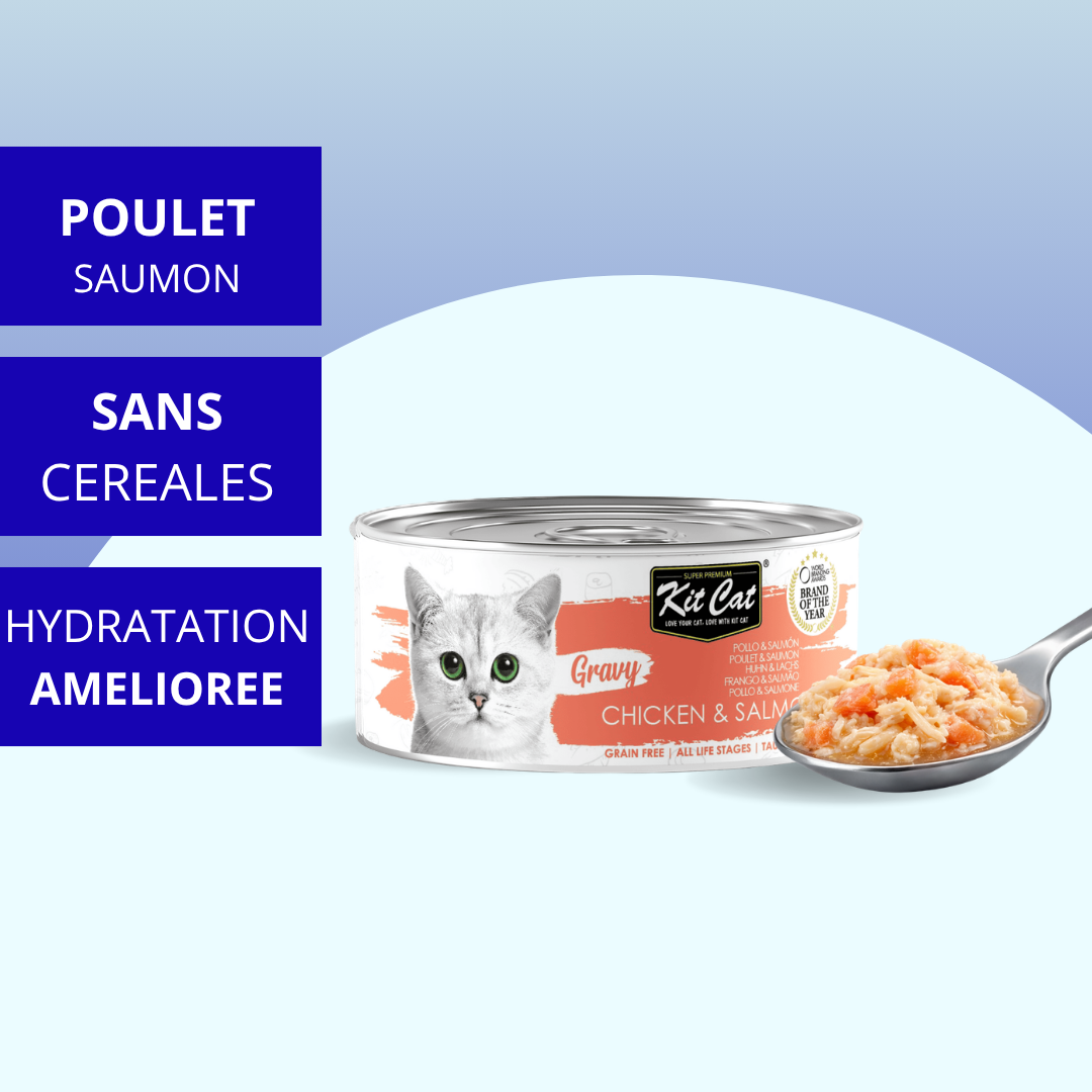Kit Cat Gravy - Poulet & Saumon 70g