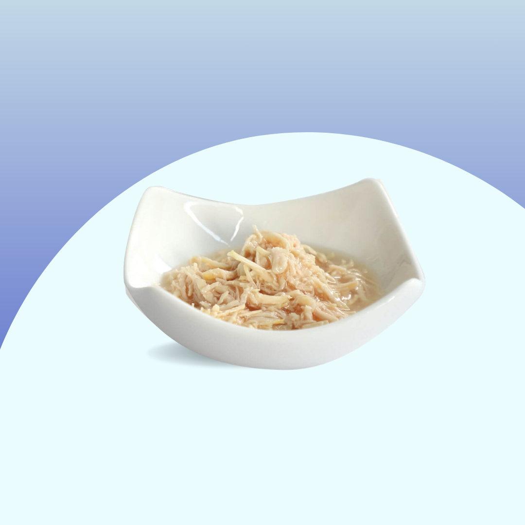 Kit Cat Gravy - Poulet & Saumon 70g