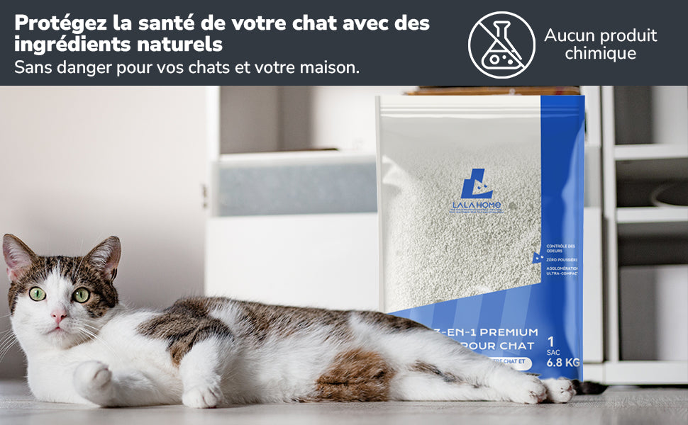 Litière 3-en-1 Premium Bentonite