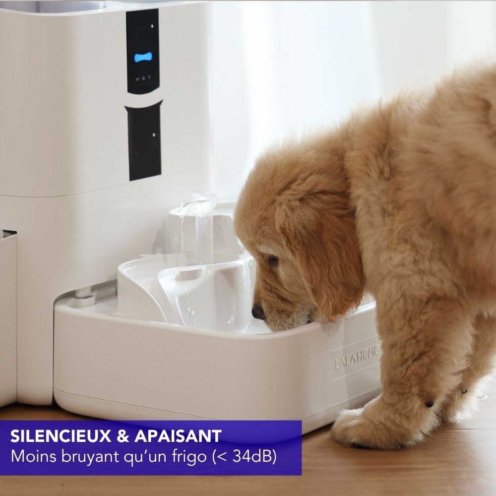 Fontaine intelligente pour chat et chien