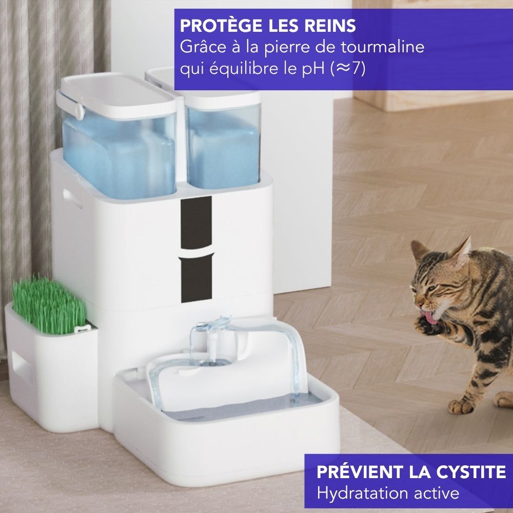 Fontaine intelligente pour chat et chien
