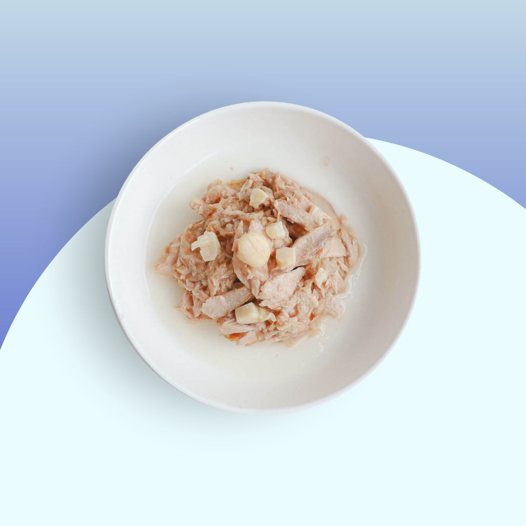 Gelée pour chat Thon & Coquille Saint-Jacques 80g — Kit Cat Toppers