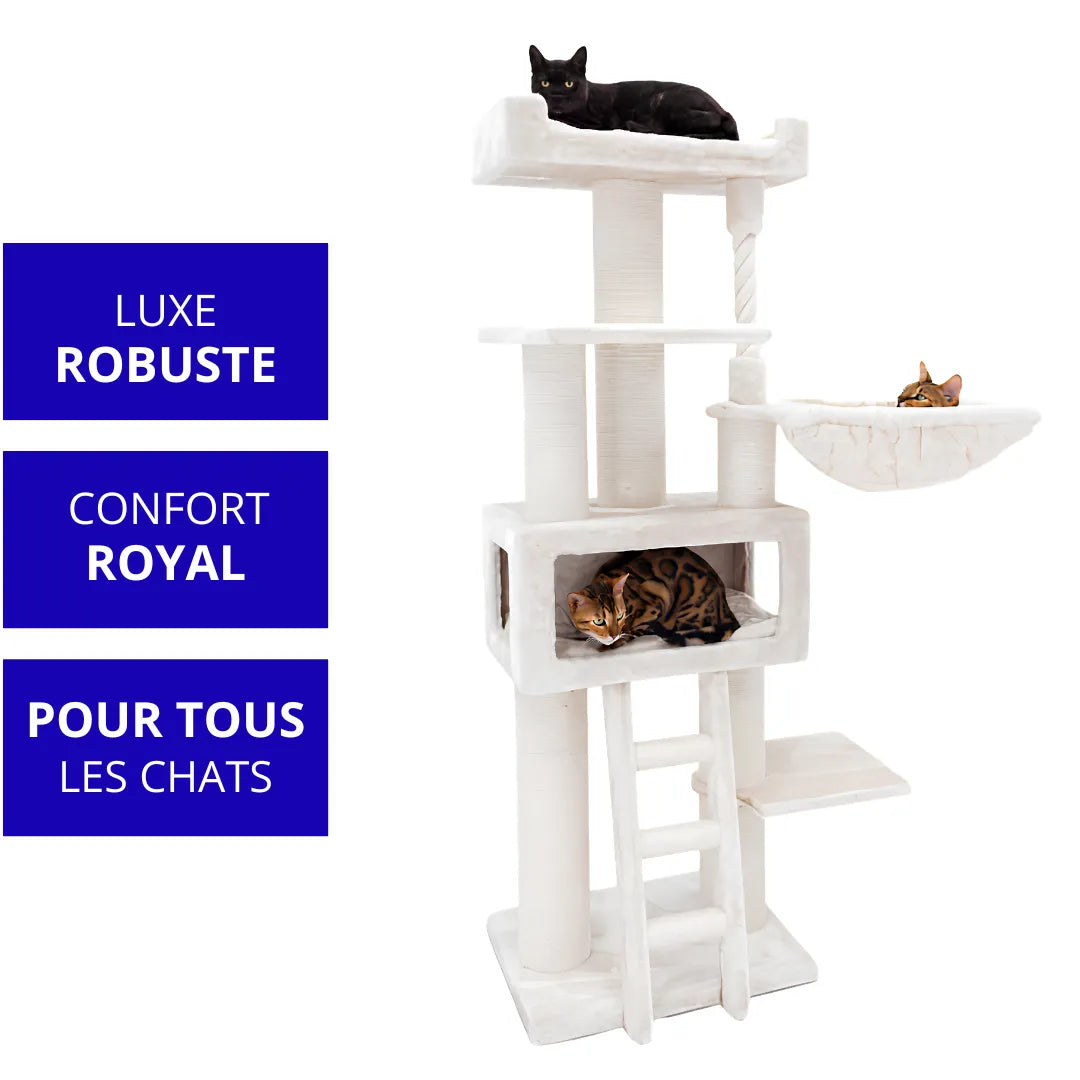 Arbre à chat blanc XL Parklane 175 Crème | AnimalCares
