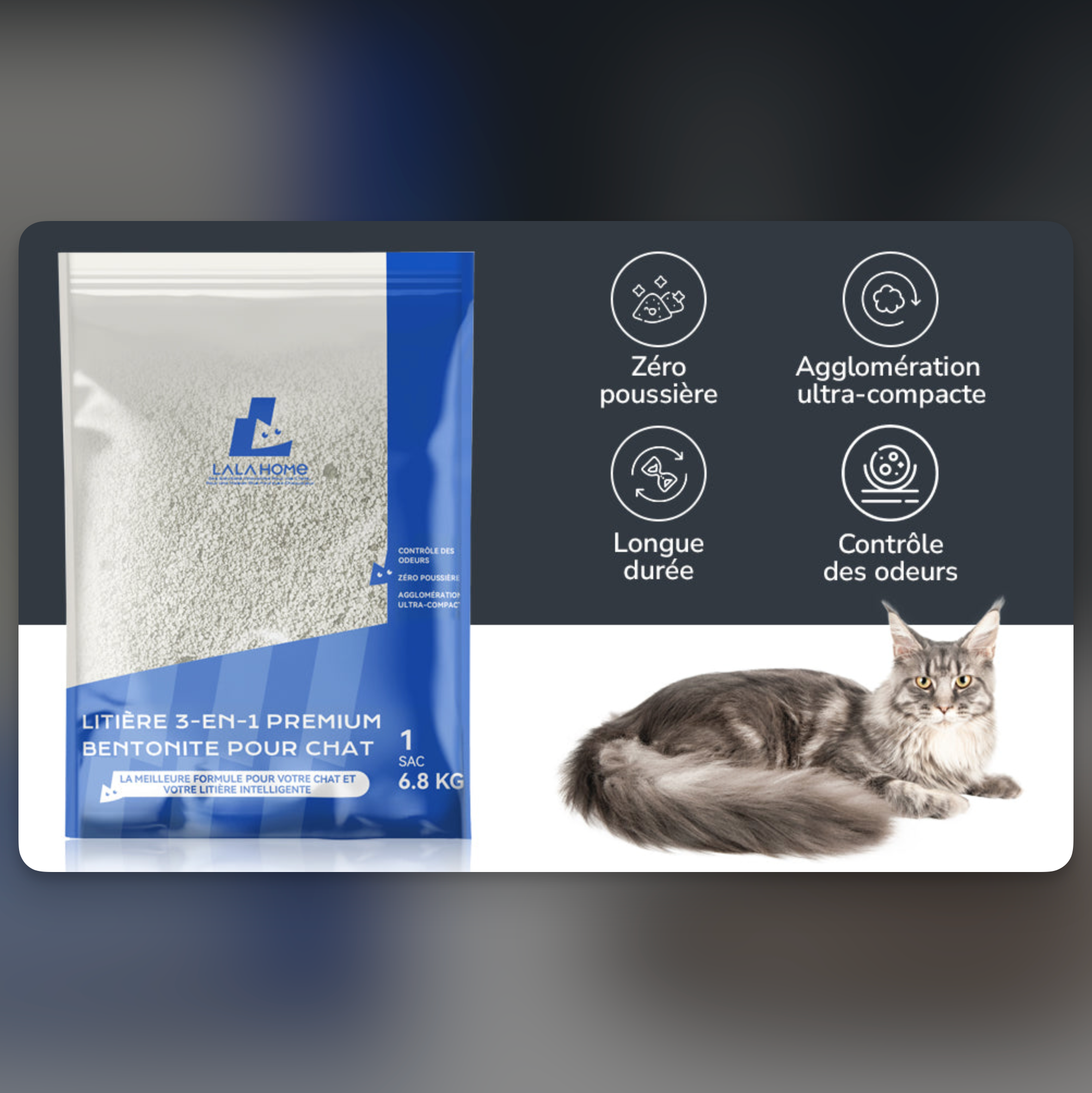 Litière 3-en-1 Premium Bentonite