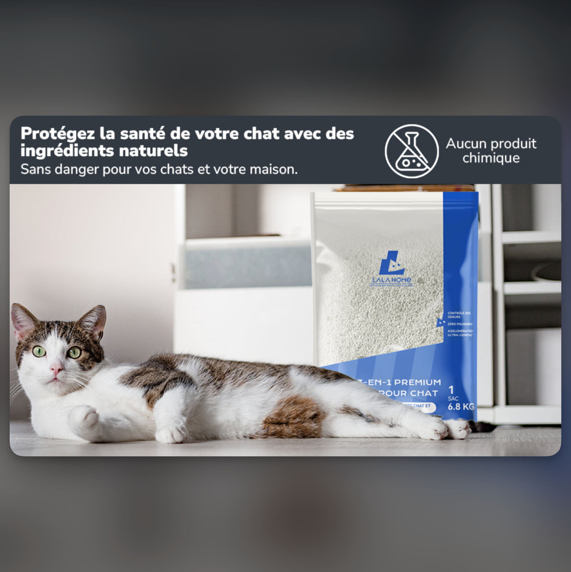 Litière 3-en-1 Premium Bentonite