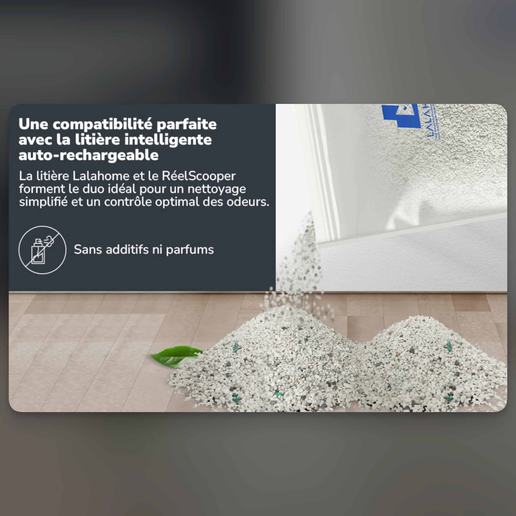 Litière 3-en-1 Premium Bentonite