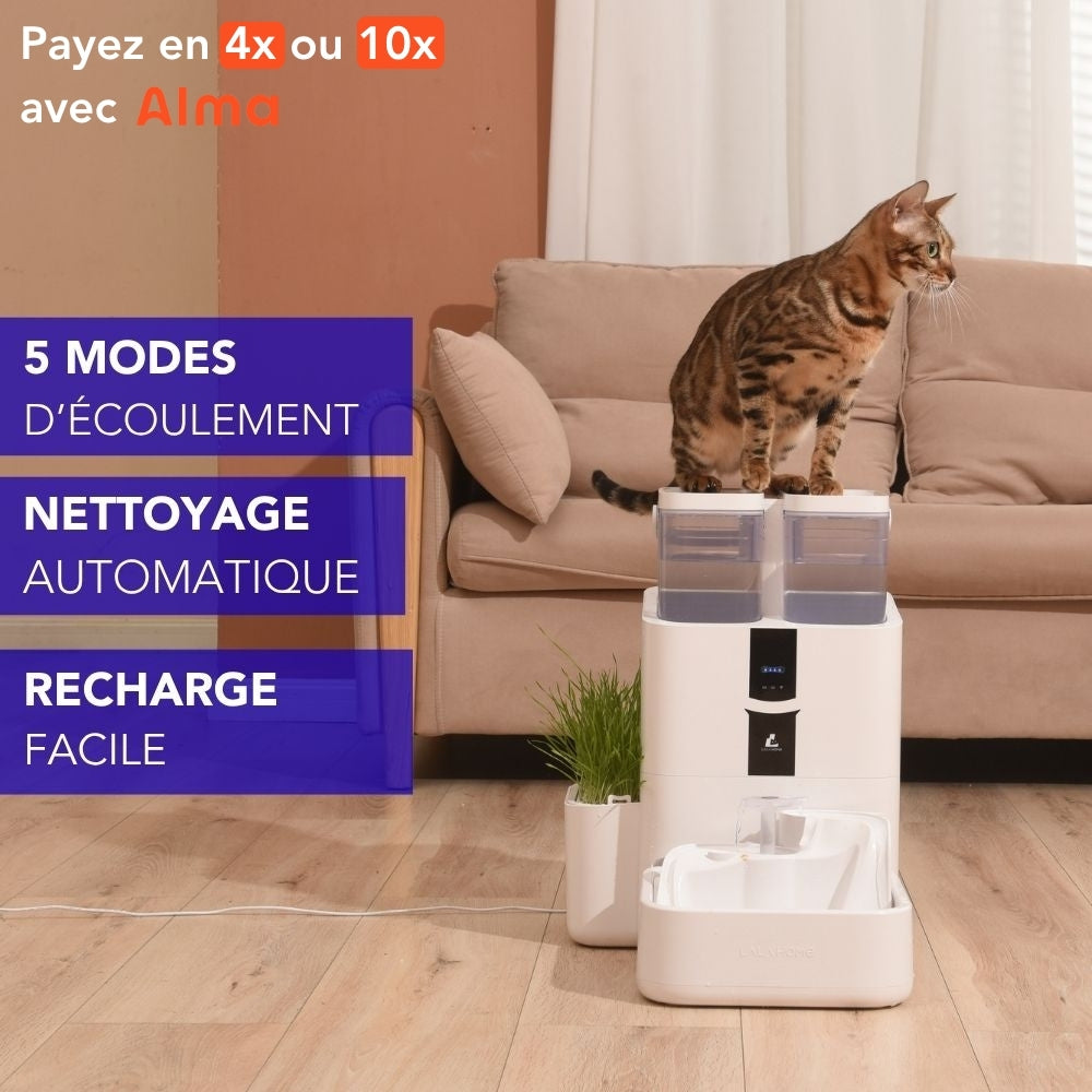 fontaine automatique chat