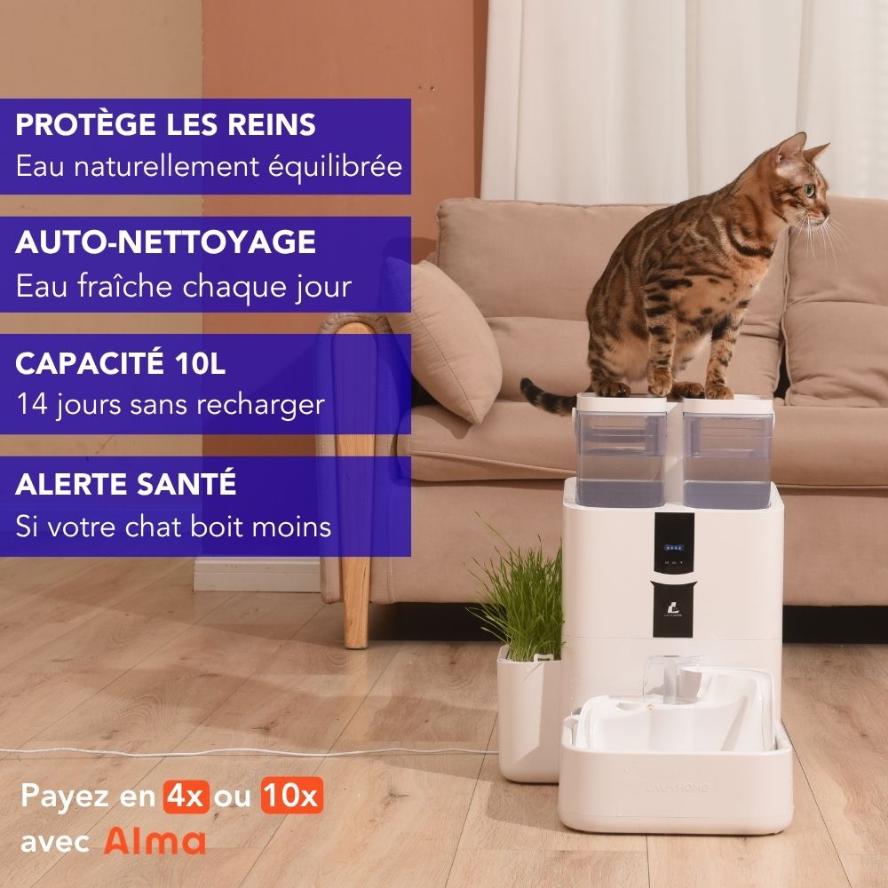 Fontaine intelligente pour chat et chien