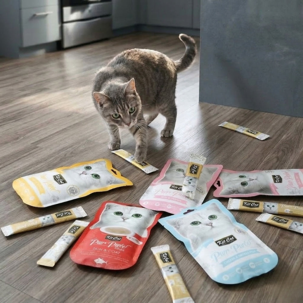 Friandise Liquide pour Chat Kit Cat Purr Purée 