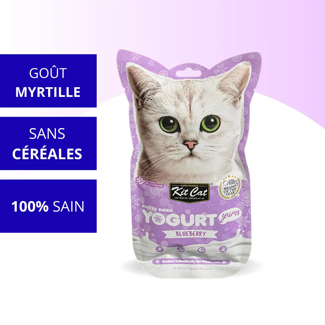 Friandise lyophilisée à la myrtille pour chat Yogurt Yums Kit Cat 10g