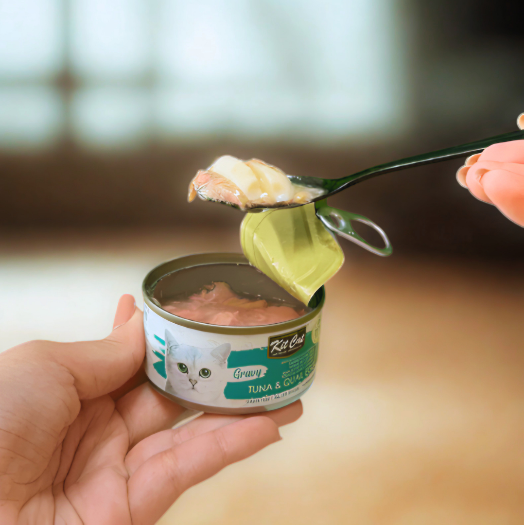 Kit Cat Gravy - Tuna and Quail Egg 70g