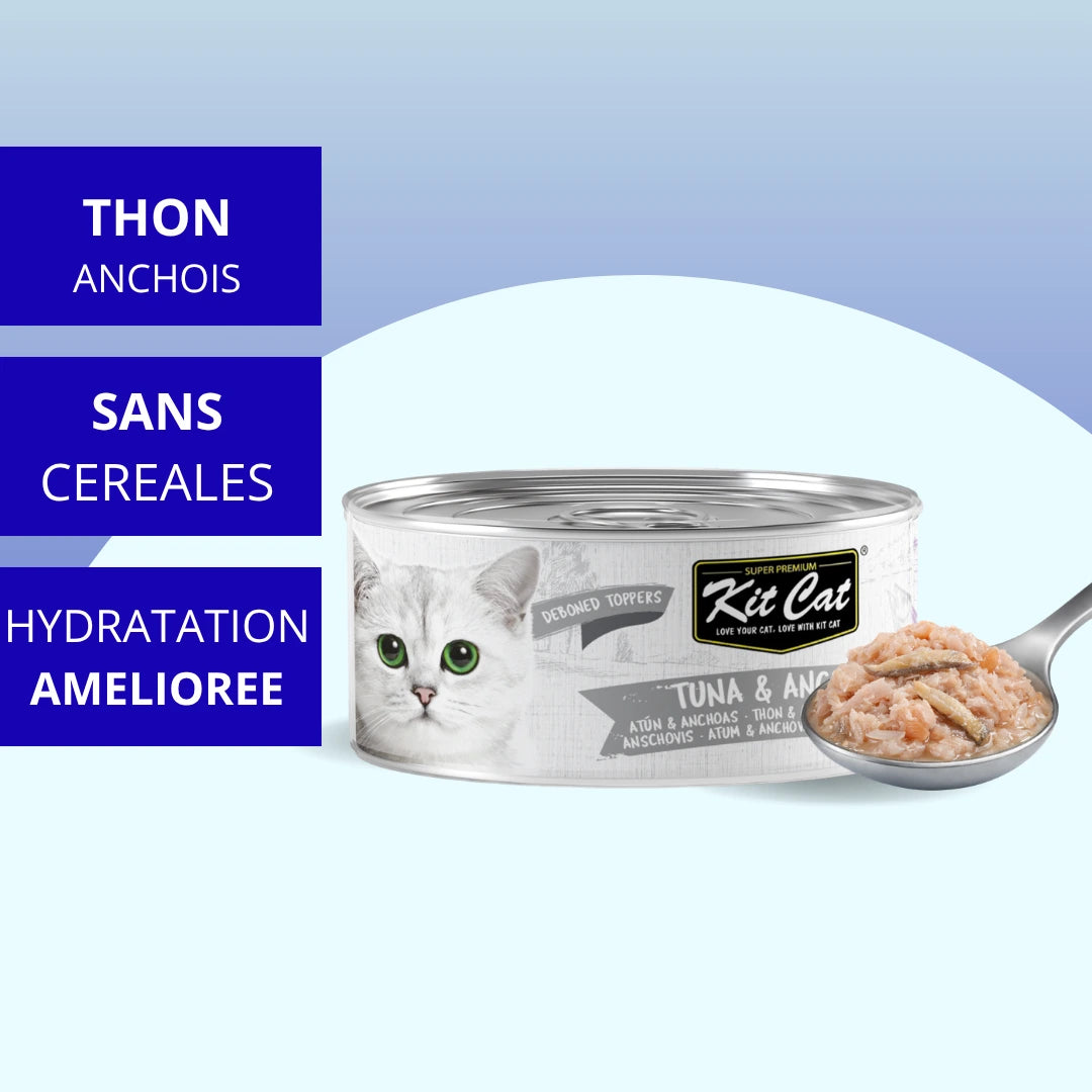 Gelée pour chat Thon & Anchois 80g — Kit Cat Toppers