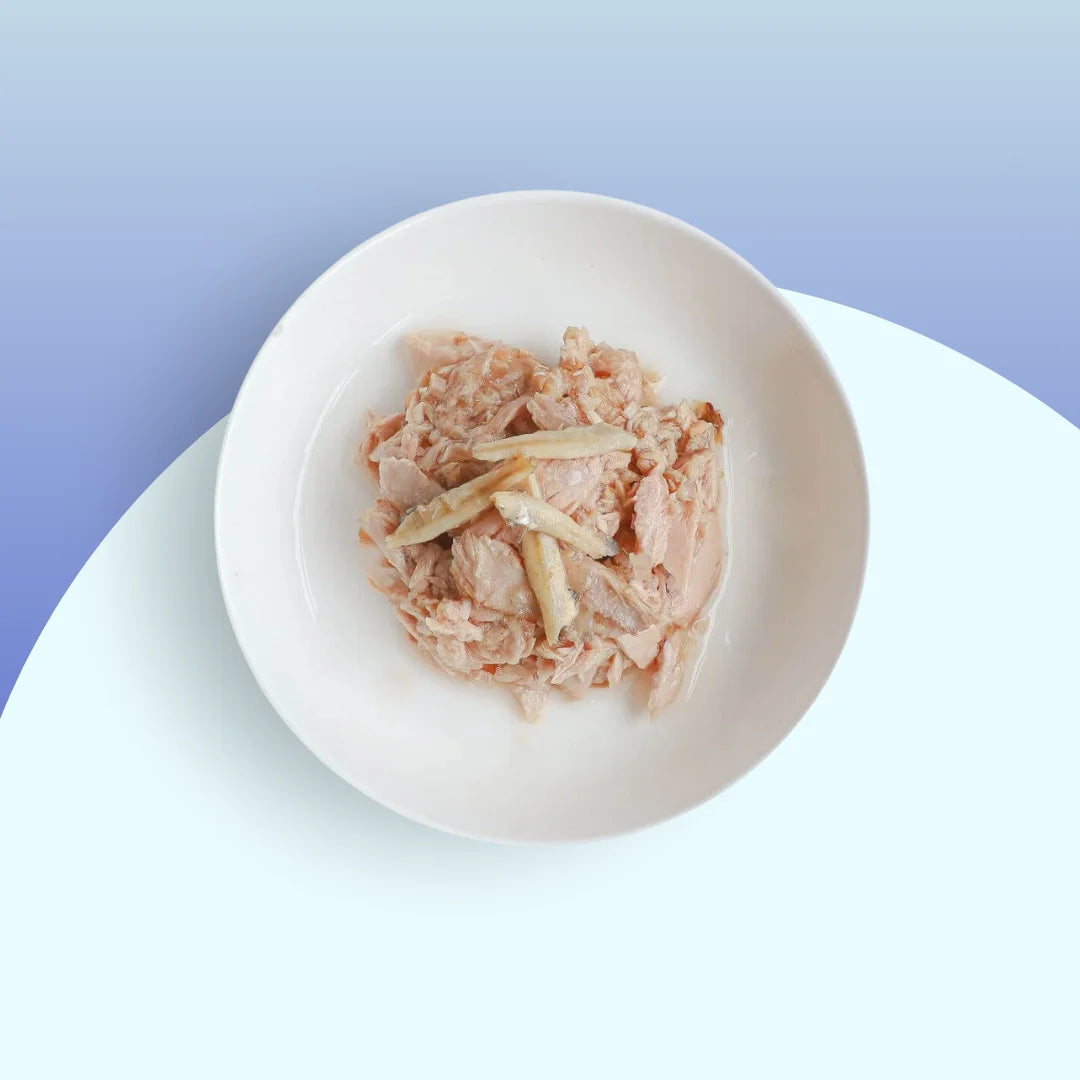 Gelée pour chat Thon & Anchois 80g — Kit Cat Toppers