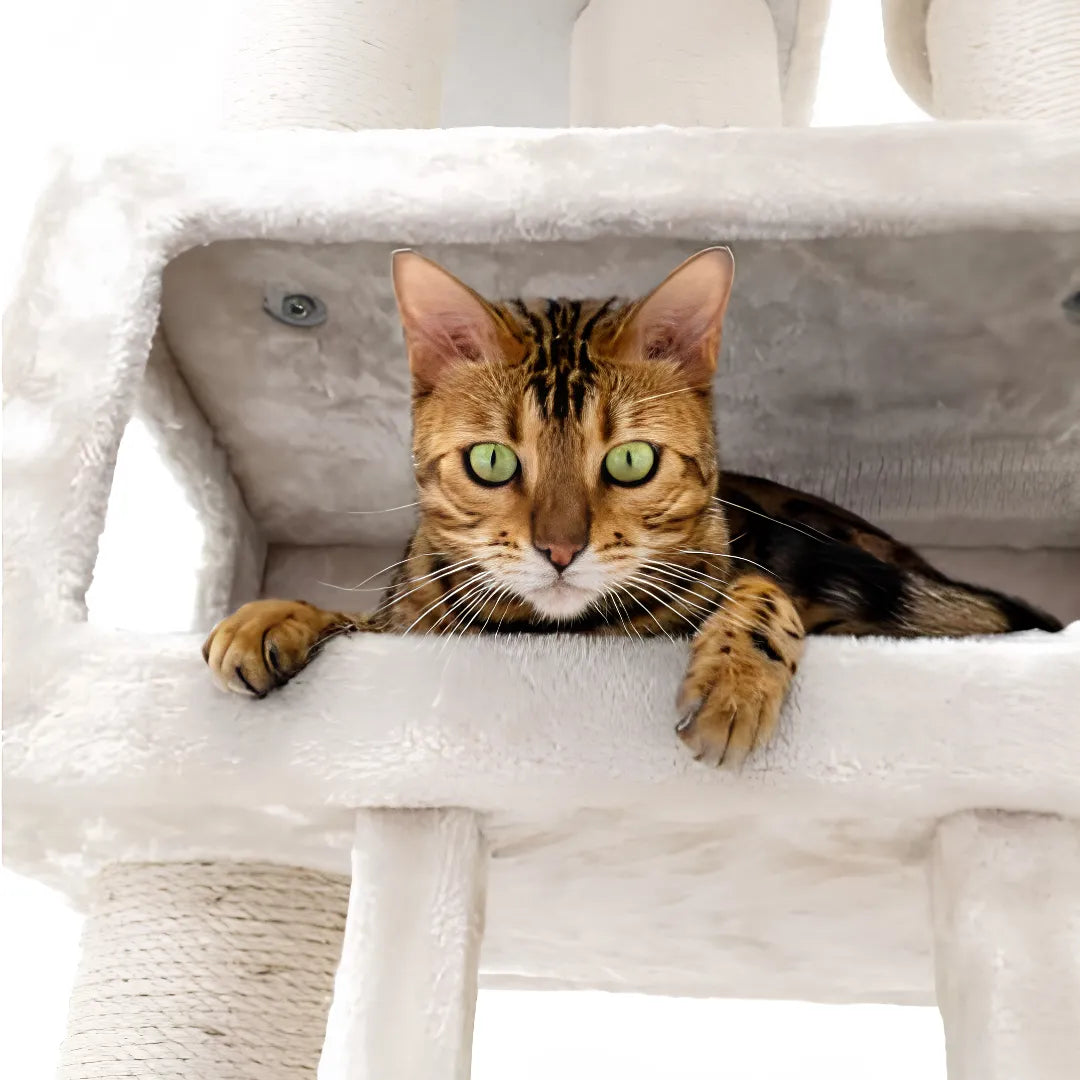 Arbre à chat Parklane 175 - Crème