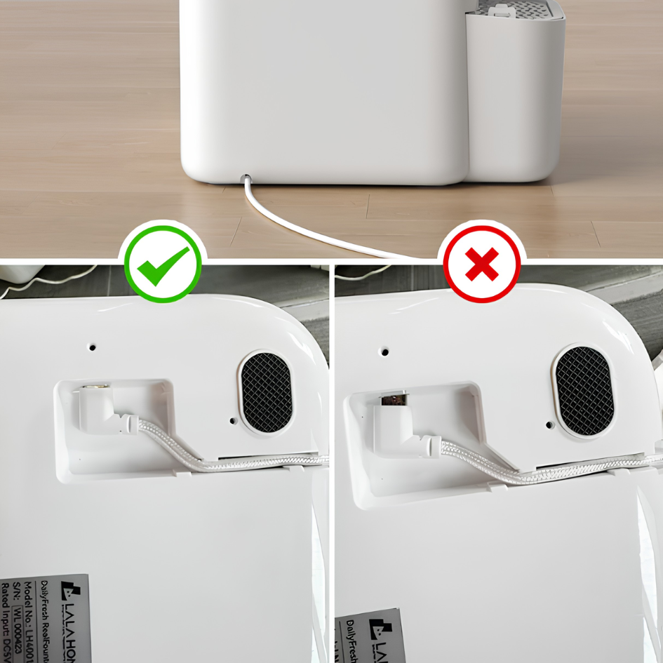 Chargeur de remplacement fontaine DailyFresh