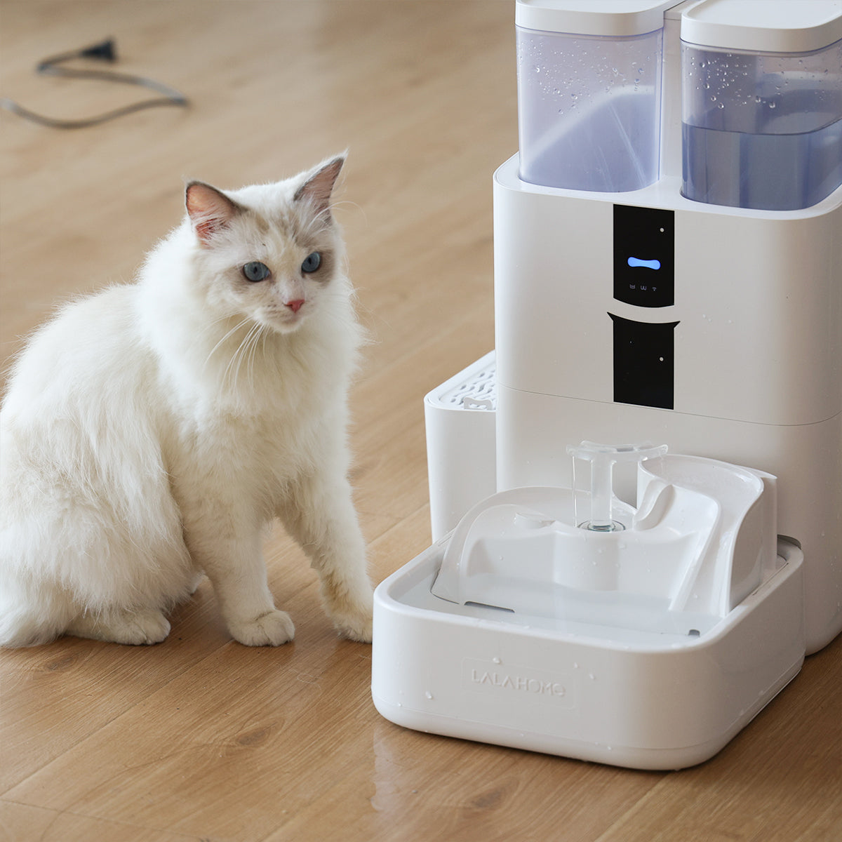 fontaine à eau intelligente pour chat et chien