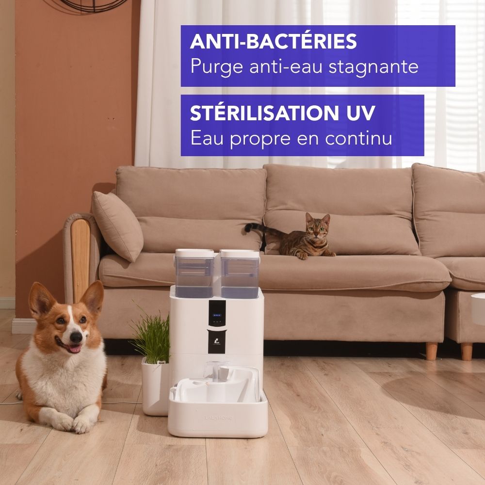 Fontaine intelligente pour chat et chien
