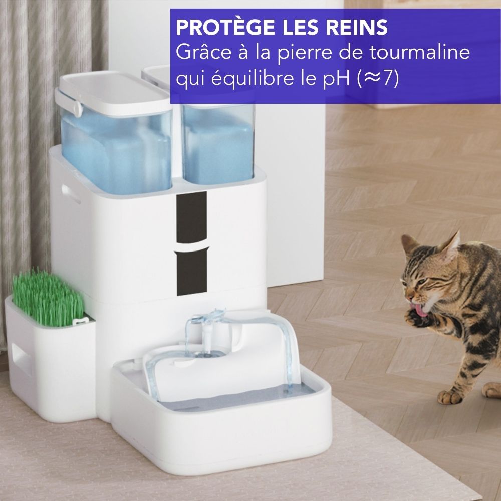 Fontaine intelligente pour chat et chien