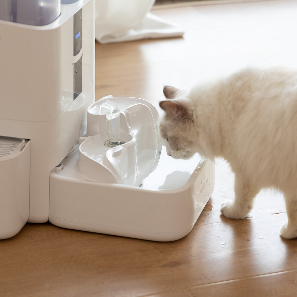meilleur fontaine à eau pour chat
