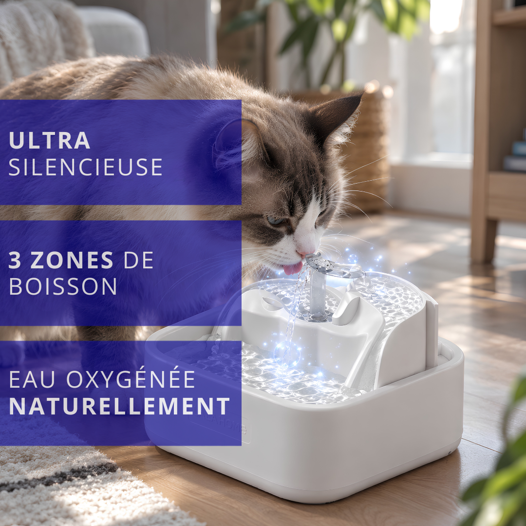 Fontaine à eau pour chat silencieuse DailyFlow 2L