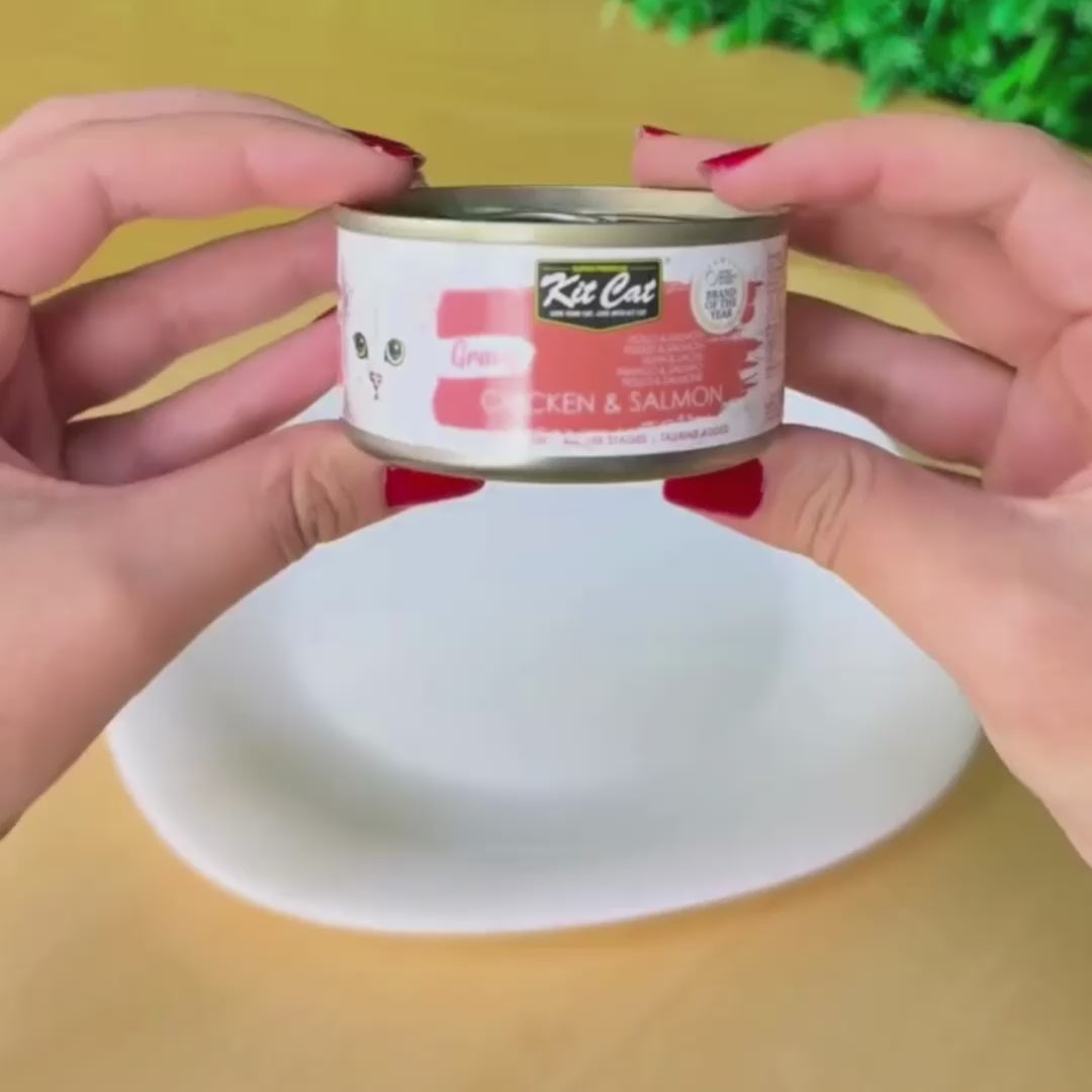 Kit Cat Gravy - Poulet & Saumon 70g