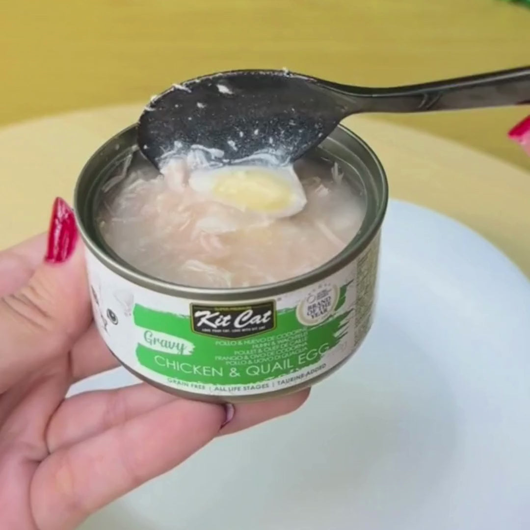 Kit Cat Gravy - Poulet & Œuf de Caille 70g